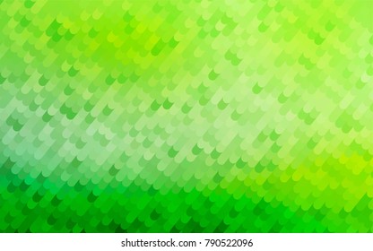 Light Green vector blurry arched pattern. Shining illustration, which consist of curved lines. The best curved design for your business.