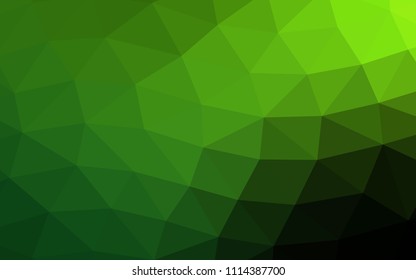 Light Green vector blurry hexagon blurry triangle. An elegant bright illustration with gradient. A completely new design for your business.