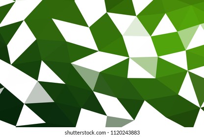 Light Green vector blurry hexagon blurry triangle. Glitter abstract illustration with an elegant design. The polygonal design can be used for your web site.