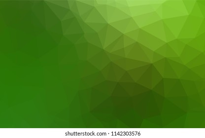 Light Green vector blurry hexagon texture. A sample with polygonal shapes. The best triangular design for your business.