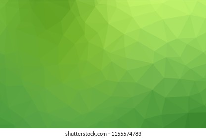 Light Green vector blurry hexagon texture. A sample with polygonal shapes. Brand new style for your business design.