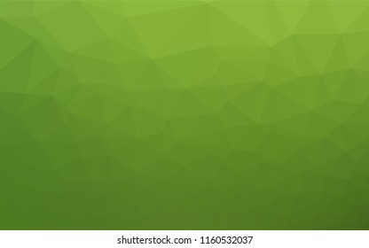 Light Green vector blurry hexagon texture. Geometric illustration in Origami style with gradient.  The textured pattern can be used for background.