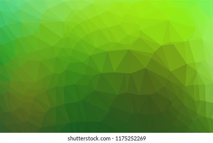 Light Green vector blurry hexagon texture. Shining colored illustration in a Brand new style. The polygonal design can be used for your web site.