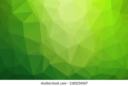 Light Green vector blurry hexagon pattern. A sample with polygonal shapes. The textured pattern can be used for background.