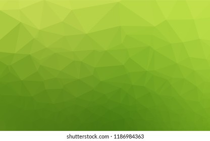 Light Green vector blurry hexagon texture. Shining illustration, which consist of triangles. The template can be used as a background for cell phones.