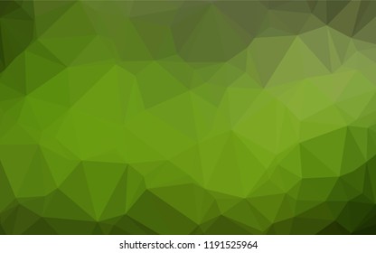 Light Green vector blurry hexagon texture. Glitter abstract illustration with an elegant design. The polygonal design can be used for your web site.