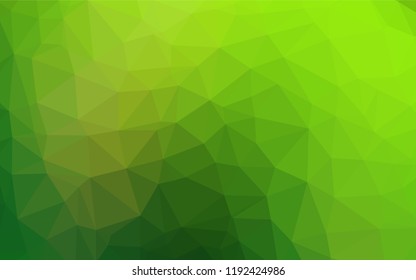 Light Green vector blurry hexagon texture. Glitter abstract illustration with an elegant design. The polygonal design can be used for your web site.
