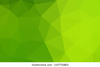 Light Green vector blurry hexagon pattern. Geometric illustration in Origami style with gradient.  A completely new template for your business design.