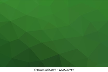 Light Green vector blurry hexagon texture. Shining colored illustration in a Brand new style. A completely new design for your business.