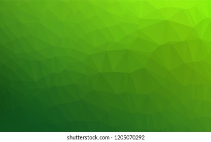 Light Green vector blurry hexagon template. Brand new colored illustration in blurry style with gradient. The elegant pattern can be used as part of a brand book.