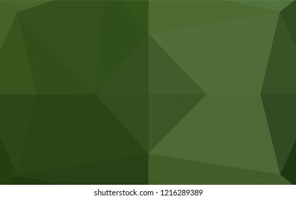 Light Green vector blurry hexagon template. Colorful abstract illustration with gradient. Triangular pattern for your business design.