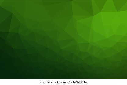 Light Green vector blurry hexagon texture. An elegant bright illustration with gradient. The polygonal design can be used for your web site.