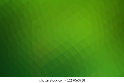 Light Green vector blurry hexagon template. Glitter abstract illustration with an elegant design. A completely new template for your business design.