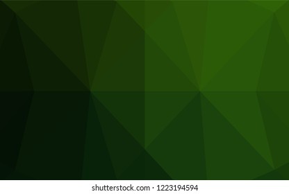 Light Green vector blurry hexagon template. Creative geometric illustration in Origami style with gradient. A completely new design for your business.