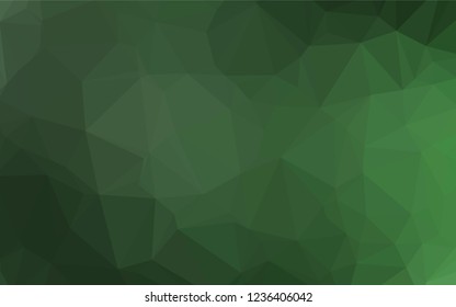 Light Green vector blurry hexagon texture. An elegant bright illustration with gradient. The best triangular design for your business.