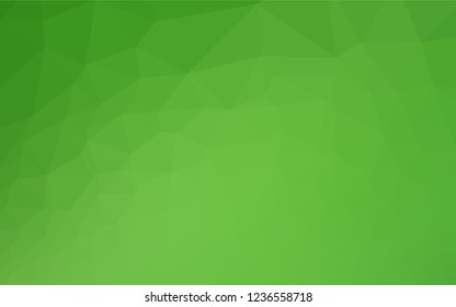 Light Green vector blurry hexagon template. An elegant bright illustration with gradient. The template can be used as a background for cell phones.