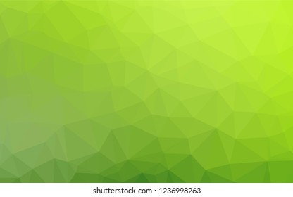 Light Green vector blurry hexagon texture. Glitter abstract illustration with an elegant design. The completely new template can be used for your brand book.