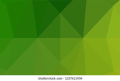 Light Green vector blurry hexagon pattern. An elegant bright illustration with gradient. Brand new design for your business.