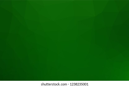 Light Green vector blurry hexagon template. Glitter abstract illustration with an elegant design. The polygonal design can be used for your web site.