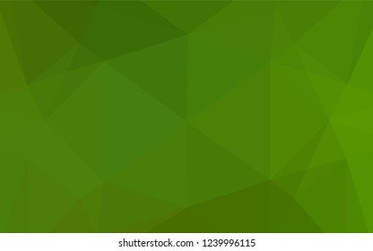Light Green vector blurry hexagon template. A sample with polygonal shapes. The best triangular design for your business.