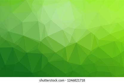 Light Green vector blurry hexagon pattern. Geometric illustration in Origami style with gradient.  Brand new design for your business.