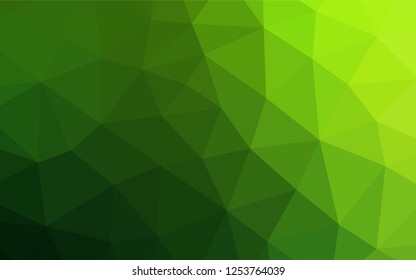 Light Green vector blurry hexagon template. Creative geometric illustration in Origami style with gradient. A completely new design for your business.