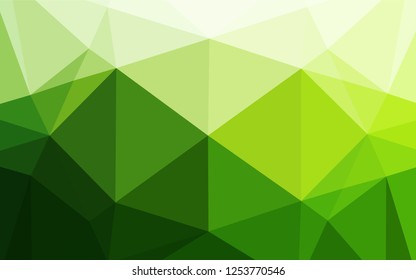 Light Green vector blurry hexagon template. Shining illustration, which consist of triangles. A completely new design for your business.