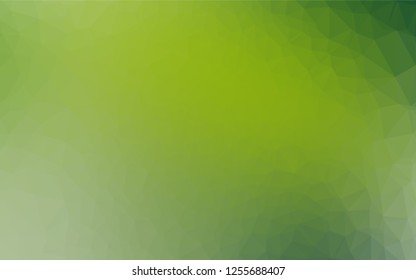 Light Green vector blurry hexagon pattern. A completely new color illustration in a vague style. The completely new template can be used for your brand book.