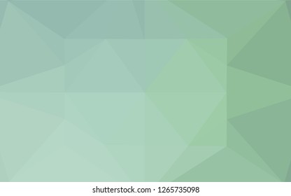 Light Green vector blurry hexagon texture. Shining colored illustration in a Brand new style. The completely new template can be used for your brand book.