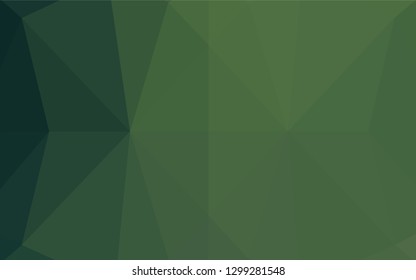Light Green vector blurry hexagon texture. An elegant bright illustration with gradient. The best triangular design for your business.