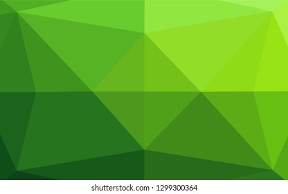 Light Green vector blurry hexagon template. Shining colored illustration in a Brand new style. The polygonal design can be used for your web site.