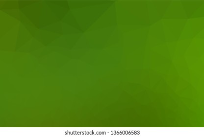 Light Green vector blurry hexagon texture. Geometric illustration in Origami style with gradient.  A completely new template for your business design.