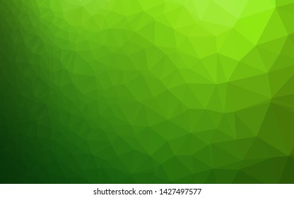 Light Green vector blurry triangle texture. Glitter abstract illustration with an elegant design. Brand new style for your business design.