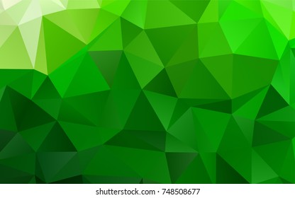 Light Green vector blurry triangle pattern. An elegant bright illustration with gradient. The completely new template can be used for your brand book.