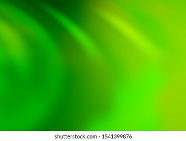 Light Green vector bokeh and colorful pattern. Colorful illustration in blurry style with gradient. The blurred design can be used for your web site.