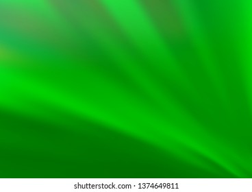 Light Green vector bokeh pattern. Colorful abstract illustration with gradient. The elegant pattern for brand book.