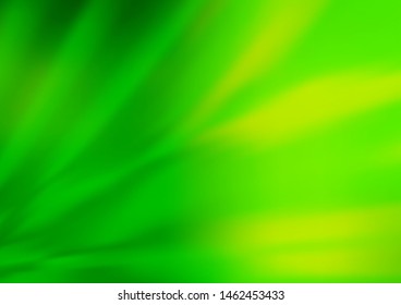 Light Green vector bokeh template. Colorful abstract illustration with gradient. A new texture for your design.