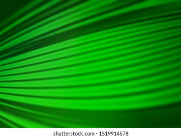Light Green vector bokeh template. Colorful abstract illustration with gradient. A completely new template for your design.