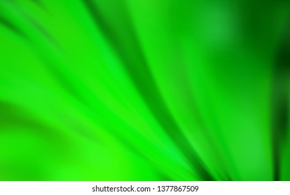 Light Green vector colorful abstract texture. Colorful abstract illustration with gradient. Background for designs.