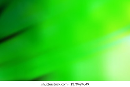 Light Green vector colorful abstract texture. Colorful abstract illustration with gradient. Blurred design for your web site.