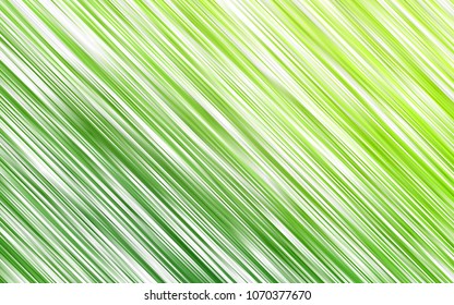 Light Green vector cover with long lines. Glitter abstract illustration with colored sticks. The template can be used as a background.