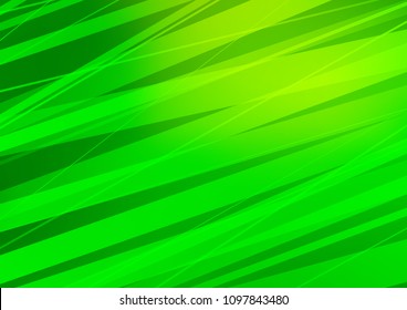 Light Green vector cover with long lines. Shining colored illustration with narrow lines. The pattern can be used for busines ad, booklets, leaflets