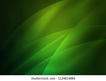 Light Green vector cover with long lines. Shining colored illustration with narrow lines. The pattern can be used for websites.