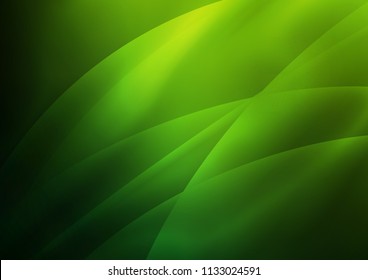 Light Green vector cover with long lines. Lines on blurred abstract background with gradient. The template can be used as a background.