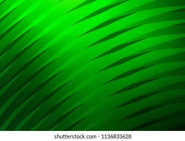 Light Green vector cover with long crossing cruved lines. Blurred decorative design in simple style with lines. Best design for your ad, poster, banner.