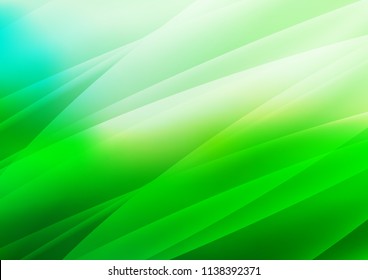 Light Green vector cover with long lines. Shining colored illustration with narrow lines. Best design for your ad, poster, banner.