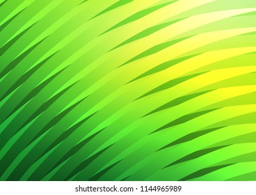 Light Green vector cover with long lines. Modern geometrical abstract illustration with staves. The template can be used as a background.