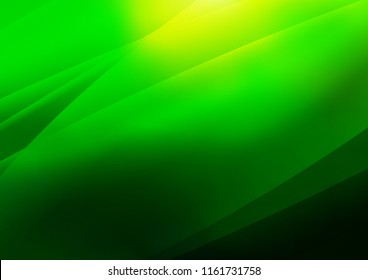 Light Green vector cover with long lines. Shining colored illustration with narrow lines. The pattern can be used as ads, poster, banner for commercial.