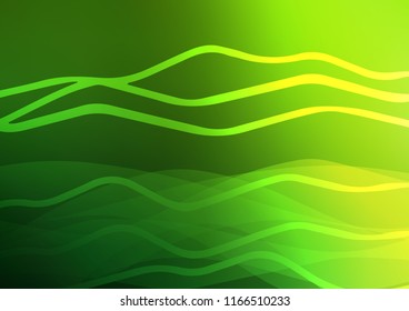 Light Green vector cover with long lines. Blurred decorative design in simple style with lines. The pattern can be used as ads, poster, banner for commercial.