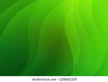 Light Green vector cover with long lines. Glitter abstract illustration with colored sticks. The template can be used as a background.